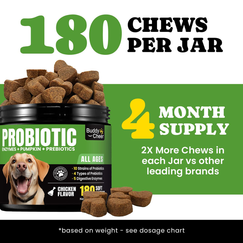 Digestive & Skin Support Chews + Dental Care Powder - Probiotics with Enzymes for Gut Comfort & Itch Ease, Tartar Control & Fresh Breath for Dogs & Cats - 180 Chews + 150g Powder