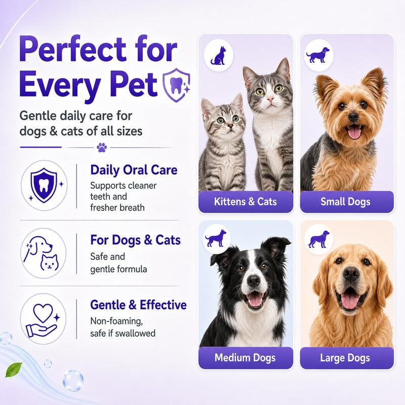 6% nHA Dual-Enzyme Pet Toothpaste for Dogs & Cats, Sensitive Teeth, 3.52oz | Gentle Enamel Care. Gum Comfort. Smooth Brushing Feel. Daily Fresh Breath Support. 3.52 Ounce (Pack of 1)