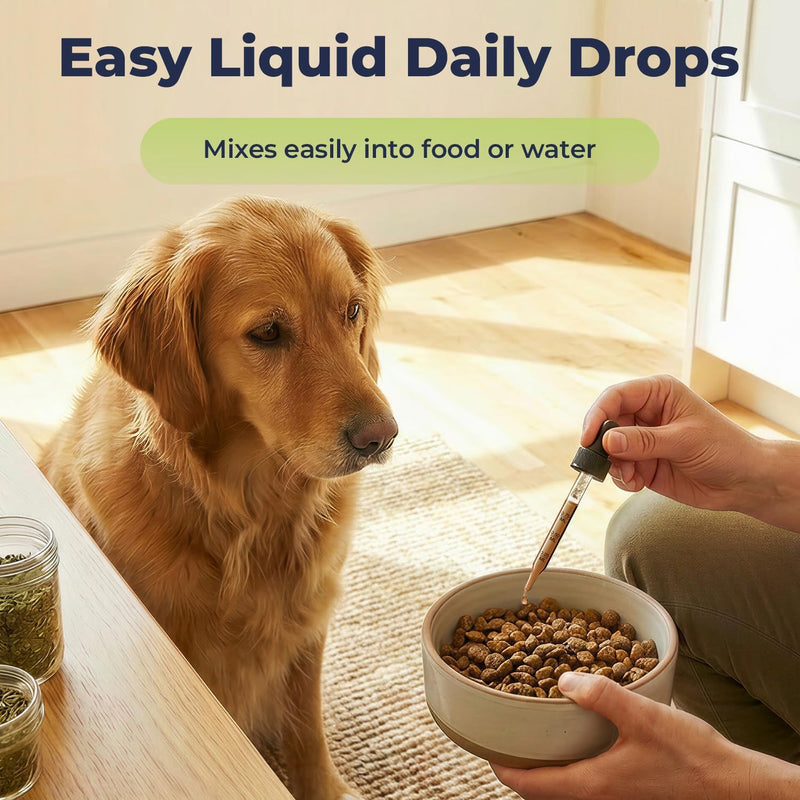 Licorice Root Tincture for Dogs - Respiratory Health Supplements - Lung Support Drops for Pets - Liquid Dog Vitamins and Supplements for Lung Detox & Cleanse - No Preservatives - 2 oz - NewNest Australia
