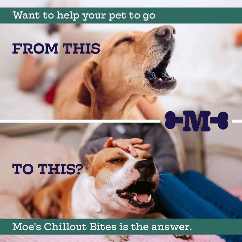 Moe’s Hemp Calming Chews for Dogs - Helps Aid with Storms, Fireworks, Chewing, Barking, Travel, Stress, Anxiety & Separation Anxiety - Tryptophan + Chamomile - Made in The USA - (Peanut Butter) Peanut Butter - PawsPlanet Australia