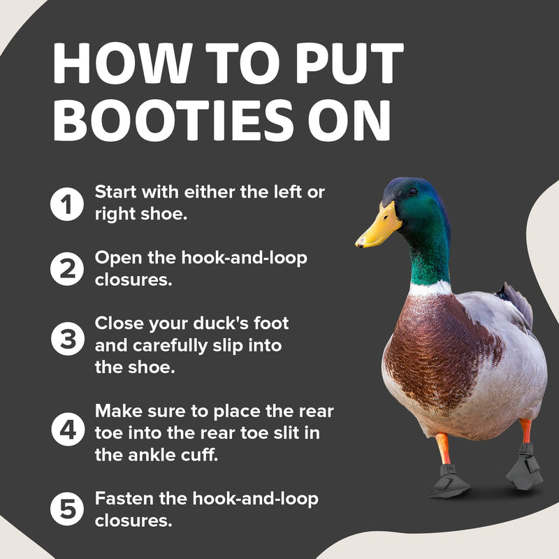 Duck Shoes for Injured Feet – Protective Neoprene Footwear for Ducks, Protective Shoes for Birds with Injured feet, Bumblefoot Relief - Small, 2.5’’ Max. Inside Width - Gray Small Ducks DUCK AND GOOSE SHOES