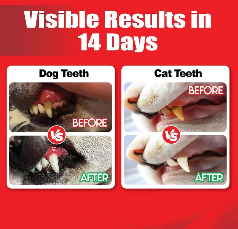 Dog Dental Powder | Natural Teeth Cleaning for Dogs & Cats | Pet Breath Freshener Food Topper with Enzymes | Helps Support Clean Teeth & Fresh Breath | Mint Flavor, 2 Pack (Up to 60-Day Supply)