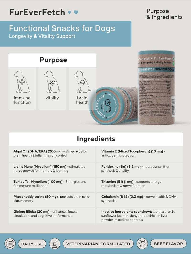 Supplement Treats for Senior Dogs ~ Cognitive Support | Premium Canine Longevity Stack | Lion's Mane, Turkey Tail & Phosphatidylserine | Biohacking Brain Health Formula | Beef Flavor