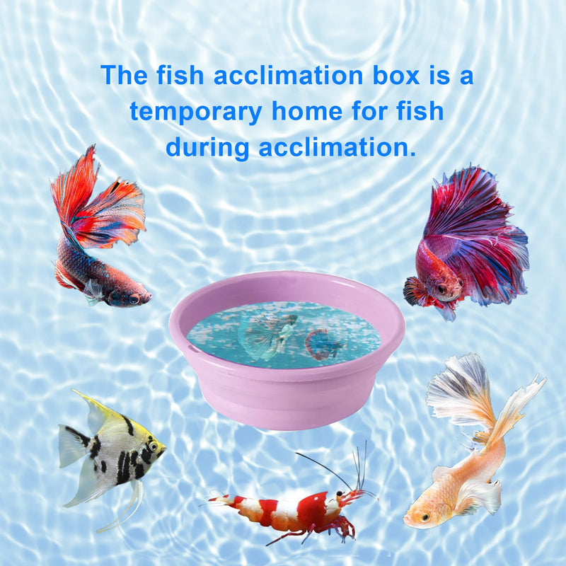 Drip Acclimation Kit for Aquarium, Adjustable Precision Slow Drip System to Reduce Stress & Prevent Osmotic Shock, Safe Transition for Saltwater Freshwater Fish, Shrimp, Coral, Marine Fish 1 SET