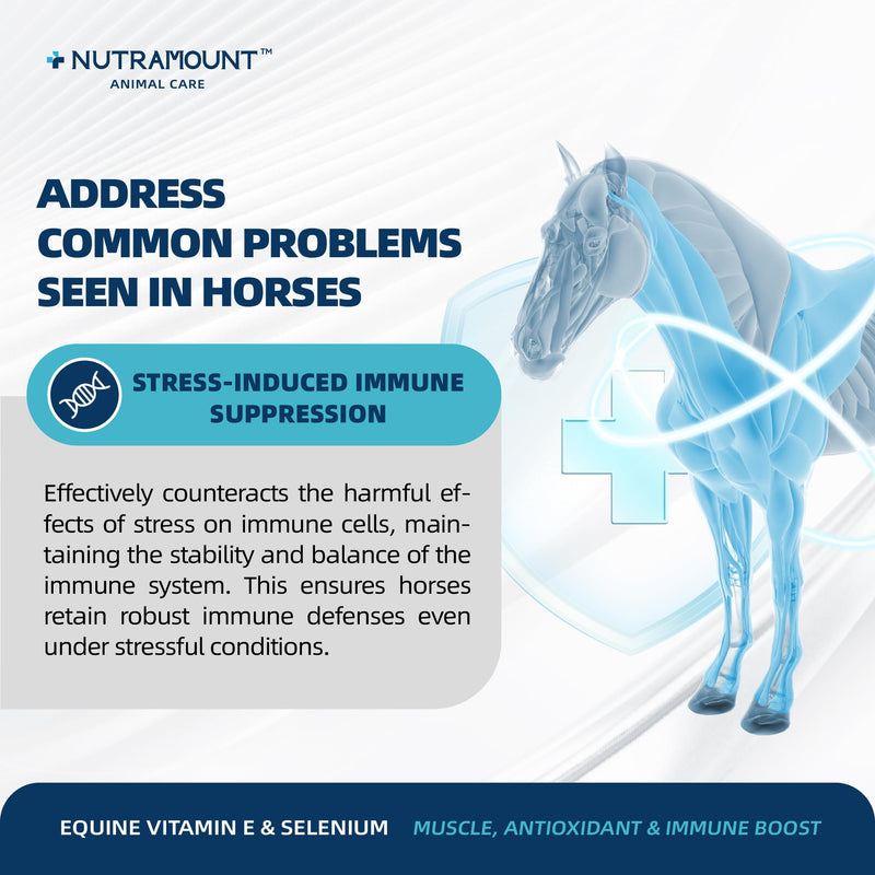 Horse Vitamin E & Selenium Supplement Powder – Natural Vitamin E 24% & Yeast Selenium – Daily Equine Antioxidant & Muscle Support – 100 Day Supply Big Tub