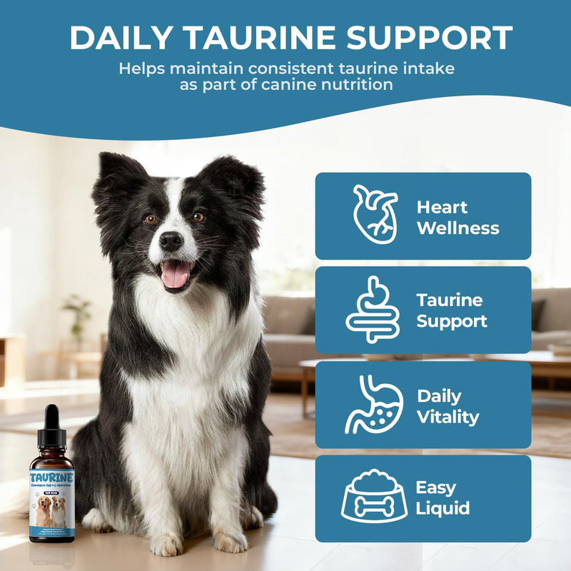 Taurine Supplement for Dogs Liquid Drops, Dog Taurine with Coenzyme Q10 & L-Carnitine, Supports Heart Function, Energy & Daily Vitality, 2 fl oz 60 ml (Pack of 1)