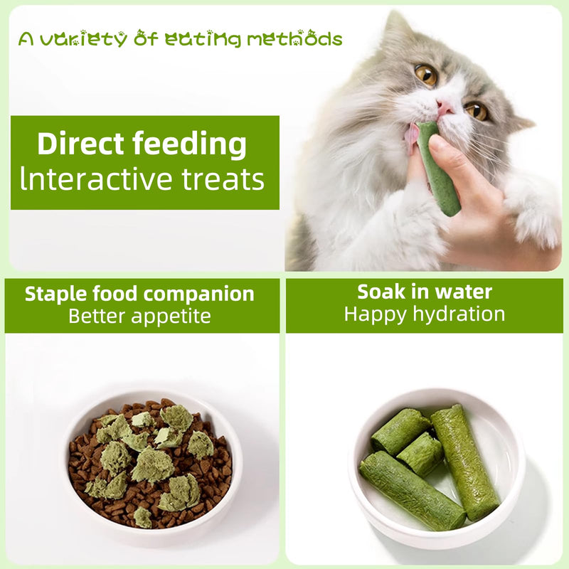 Cat Natural Grass Teething Sticks 100g, Kitten Chew Stick for Hairball Removal, Dental Care, Increase Appetite, Catnip Toys Cat Nip Treat Toys Edible Kitty Toys for Indoor Kittens (Medium, catnip) 1 Ounce (Pack of 1)