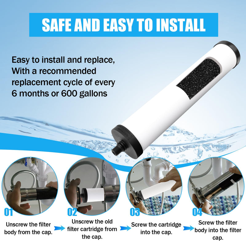 FRC06 Ceramic Water Filter Cartridge, for Franke FRCNSTR Kitchen Sink Water Filter Compatible with FRCNSTR100、FRCNSTR-DUO-1、FRCNSTR-DUO-2 Filter Kitchen Sink