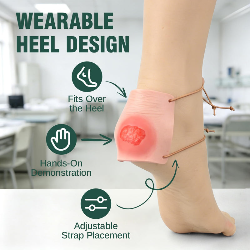 Wearable Heel Ulcer Simulation Models, 4 Stages | Pressure Injury Models, Silicone Wound Care Teaching Aid for Nursing Skills Labs, Clinical Education, Caregiver Training