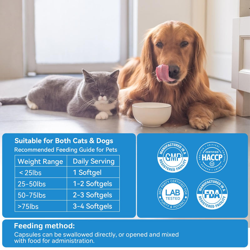 Oral Care Probiotics for Dogs – 33.3B CFU with Digestive Enzymes – Bad Breath Remedy, Gut Health, Immunity – 11 Patented Strains & Organic Prebiotics – for Cats (80 Capsules)