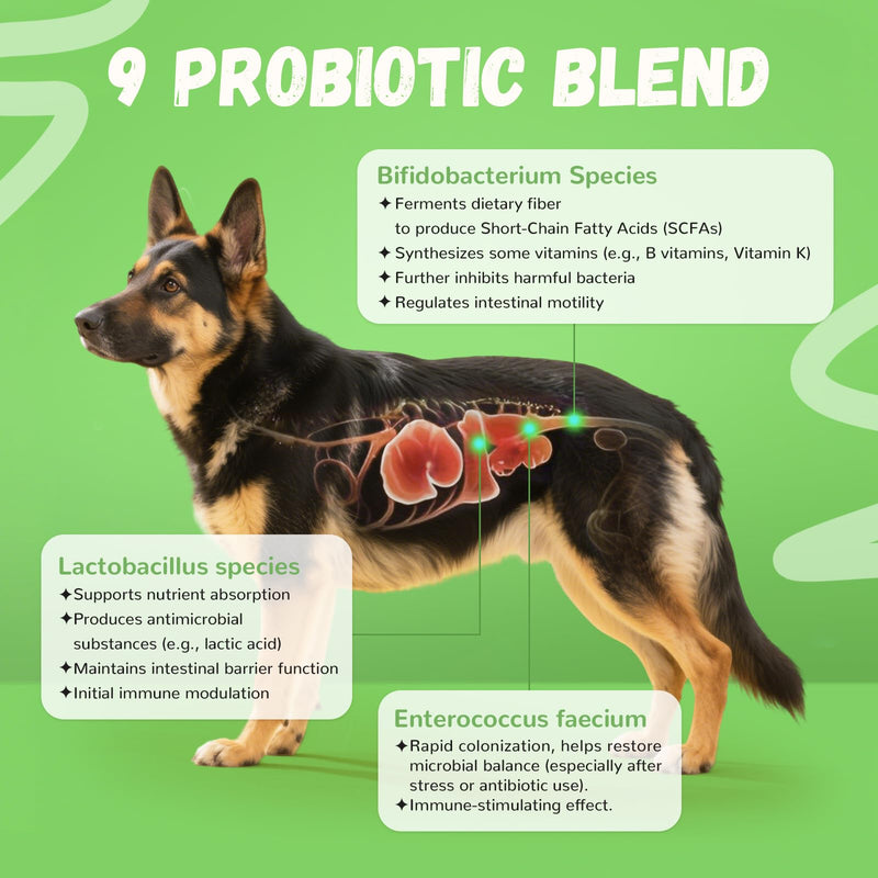 Furrolika 60 Count Probiotics Soft Chews – Made in The USA –Supplements for Gut Health, Digestive Support, Immune Support & Diarrhea Relief – Beef Flavor Dog Probiotic