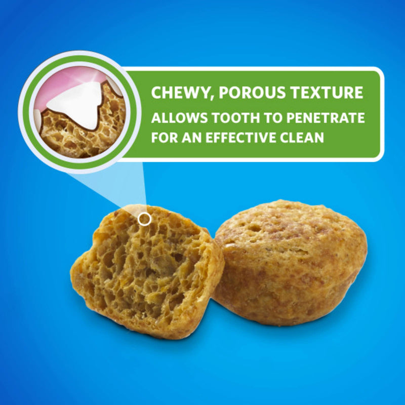 DentaLife Purina Made in USA Facilities Cat Dental Treats, Tasty Chicken Flavor - 19 oz Pack of 1)