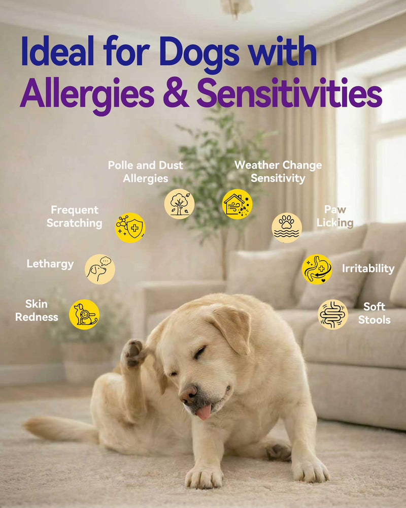 Dog Allergy Relief Chews – Seasonal Allergy Support for Dogs with Environmental Sensitivities, Immune & Gut Health Soft Chews for Allergy-Prone Dogs CK
