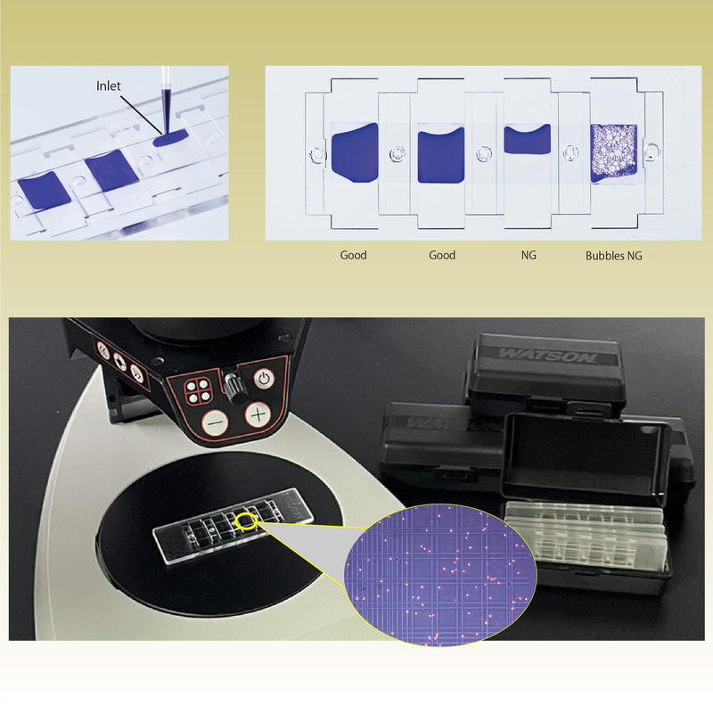 WATSON-BIO-LAB, 177-212C, Disposable Cell Counting Plate, Burker-Turk Type, 10 Plates/Unit, Hemacytometer, Made in Japan/Kobe