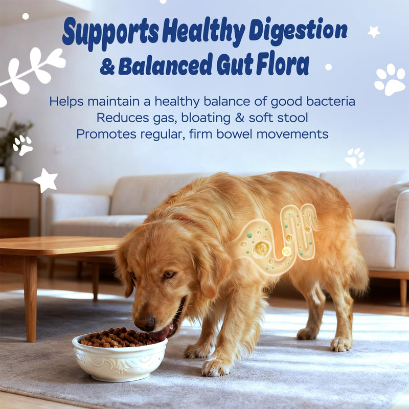 Dog Probiotic Soft Chews – 6-Strain Blend for Digestive & Immune Health – Supports Gut Balance, Reduces Gas, Tasty Daily Treat for Dogs-120 Count