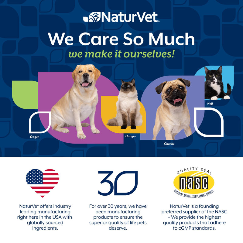 NaturVet Dental Targeted Care Supplement for Dogs and Cats, Helps Reduce Plaque & Tartar with PRIOME Postbiotics, Scandinavian Kelp & Fresh Breath Blend, 60 Hickory Bacon Soft Chews