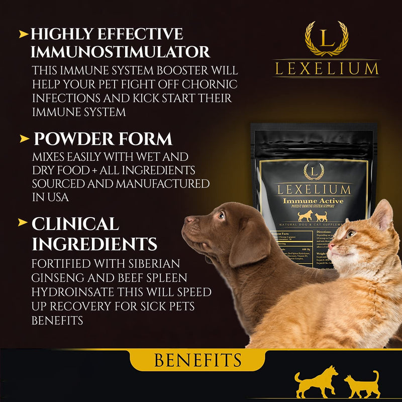 Immune Support for Cats and Dogs - Natural Immunity Supplement Powder Helps Detoxify and Protect Your Pets from Digestive, Respiratory and Skin Issues - Helps with Chronic Infections - 200g - PawsPlanet Australia
