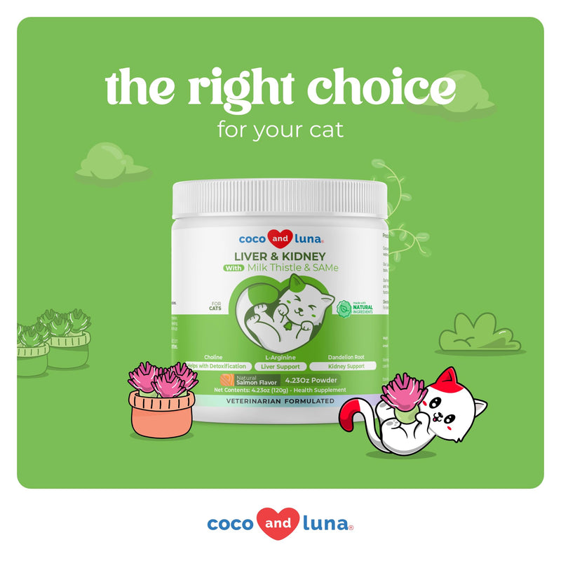 Immunity + Liver and Kidney Support for Cats - with Milk Thistle, Same, L-Arginine & Turmeric, and Dandelion Root for Detox. - PawsPlanet Australia