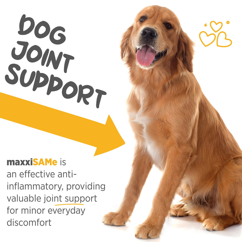 maxxiSAMe Sam-e Supplement for Dogs - Dog Liver and Cognitive Brain Support - Given with Food Powder 5.3 oz - PawsPlanet Australia