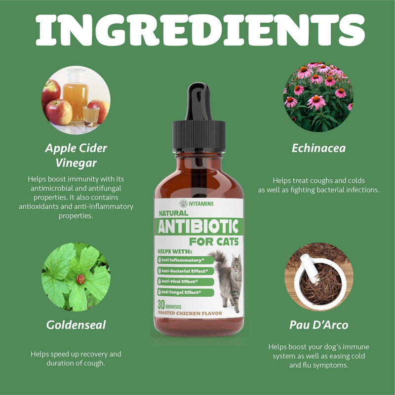 Natural Antibiotics for Cats | Cat Supplements | Cat Antibiotic | Cat Antibiotics | Cat Immune Support | Antibiotic for Cats | Cat Multivitamin | Multivitamin for Cats | 1 Pack: 30 Servings Total - PawsPlanet Australia