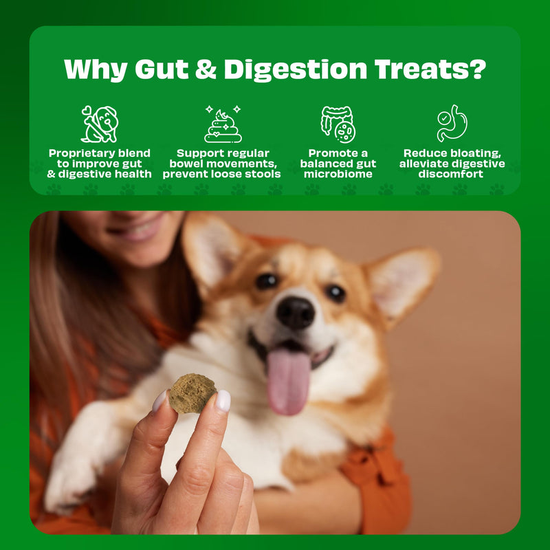 Pineapple Yogurt Melties Prebiotics and Probiotics for Dog | Promotes Immunity, Supports Gut Health | May Help Support Yeast Balance | May Help in Occasional Itchy Skin | Grain-Free (1.3oz)