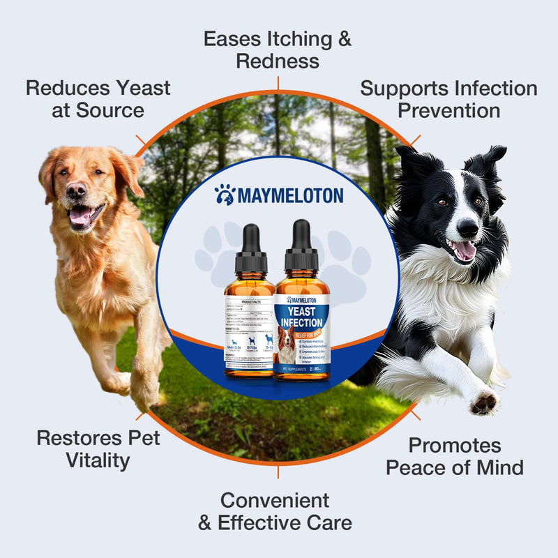 Yeast Infection Treatment for Dogs, Dog Ear Infection Treatment, Soothe Ear & Paw Discomfort, Ease Irritation & Inflammation, Aid Pet Skin Allergy, Bacon Flavor 60ml Dog Itch Relief Supplement 1 Pack