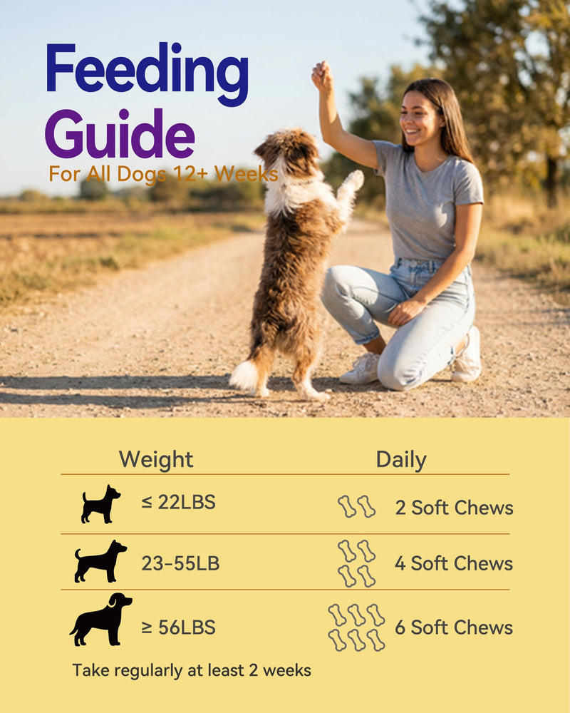 Dog Allergy Relief Chews – Seasonal Allergy Support for Dogs with Environmental Sensitivities, Immune & Gut Health Soft Chews for Allergy-Prone Dogs CK