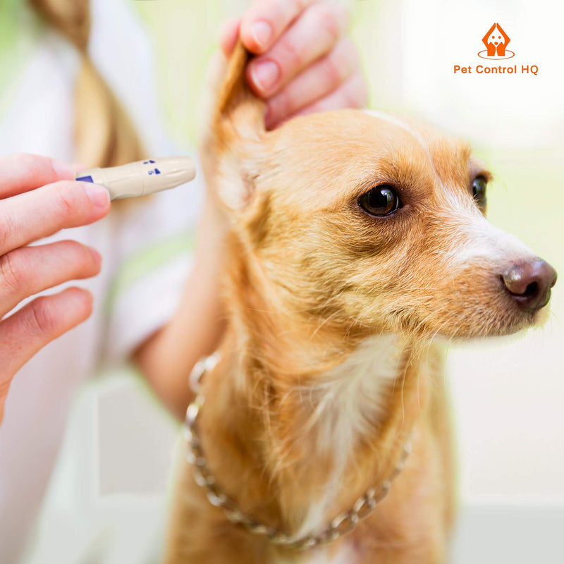 Blood Sugar Glucose Monitor System for Dogs and Cats - Pet Glucose Monitoring Kit - Accurate Diabetes Testing 2 Calibrated Code-Chips for Dog/Cat, Lancets, Logbook - Monitor + 50 Test Strips - PawsPlanet Australia