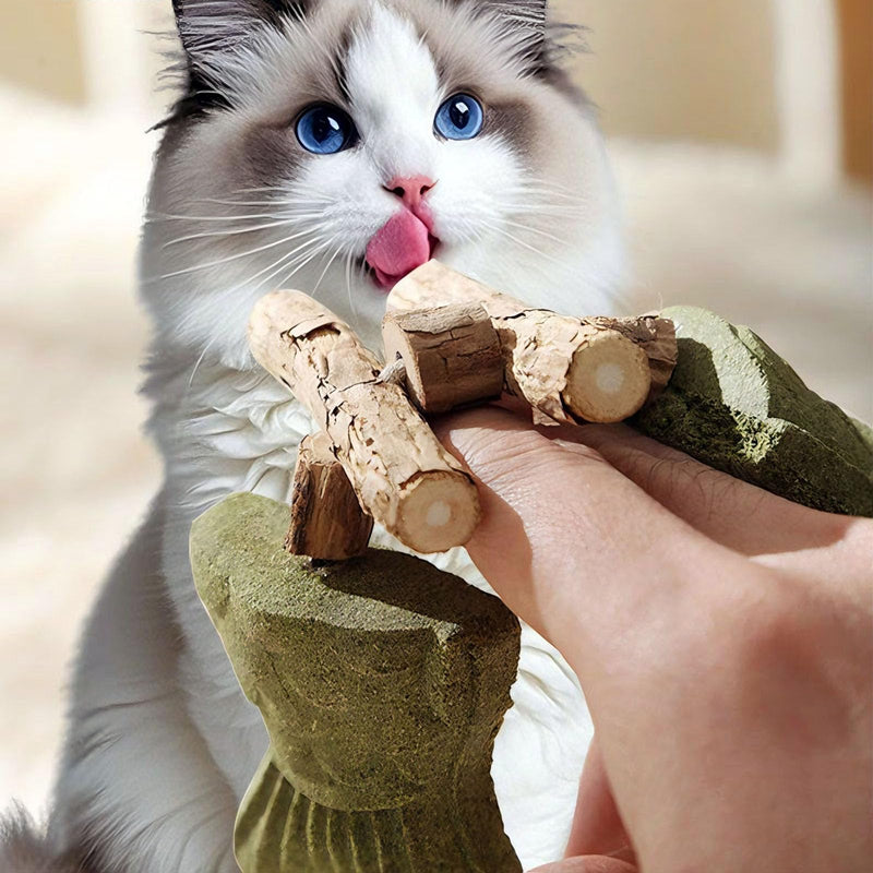 Purrident - Fix Cat Dental Health, Natural Dental Chew for Cats, Fishbone Shape Cat Teething Toy with Catnip, Durable Feline Tooth Care Tool for Indoor & Adult Cats (3PCS-D) 3PCS-D