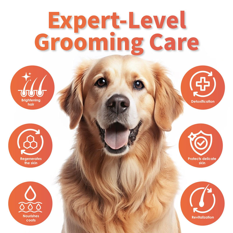 Arf Arf Dog Shampoo Itch Relief, Allay Itch & Irritation Oatmeal Formula 16oz, Anti-Itch for Allergies, Honey-Infused, Pet-Friendly, Ideal for Sensitive Skin Anti-itch Shampoo - PawsPlanet Australia
