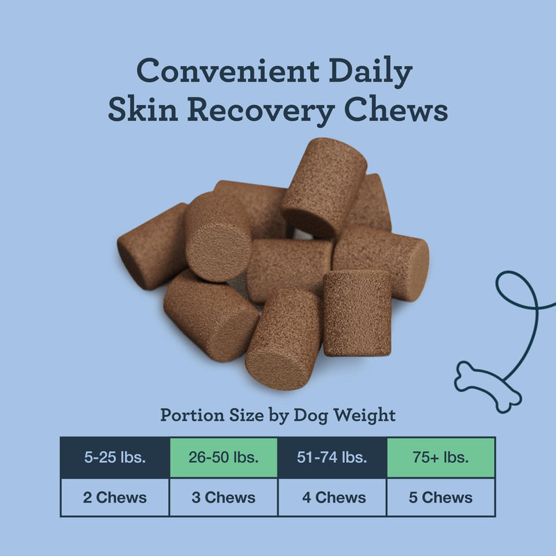 Kradle Daily Skin Recovery Chews - Skin Health Chews & Seasonal Allergy Support for Dogs - Soft Chews with Soothing Ingredients - for All Dog Breed & Sizes - 75 Count Jar - PawsPlanet Australia