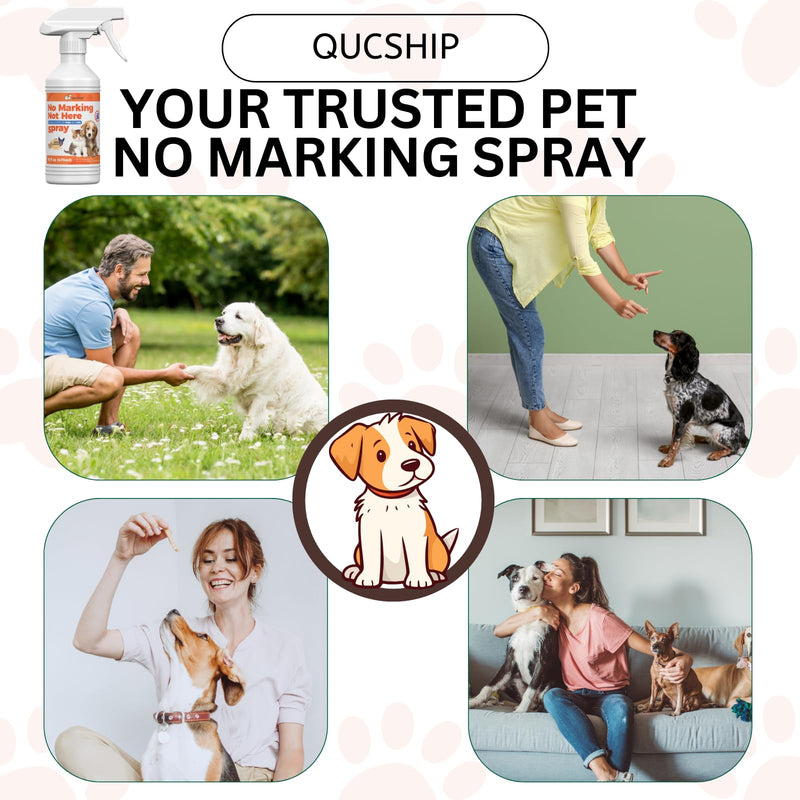 16oz Stop Dog Urinating in House with No More Peeing in House