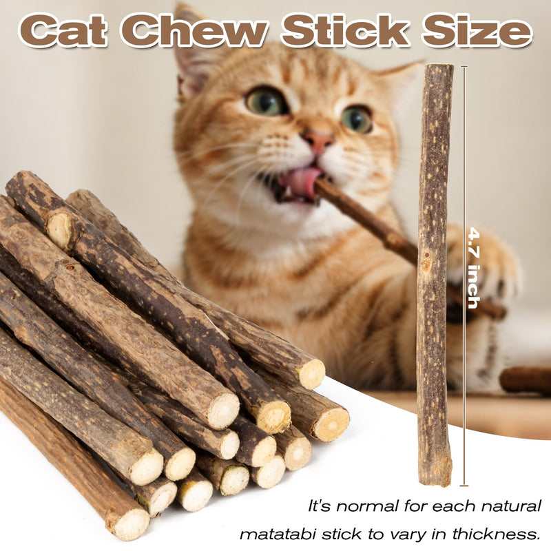 CARGEN Silvervine Cat Chew Sticks - 12 PCS Natural Kitten Chew Toys, Dental Cleaning Sticks, Indoor Cat Daily Treats & Entertainment Supplies