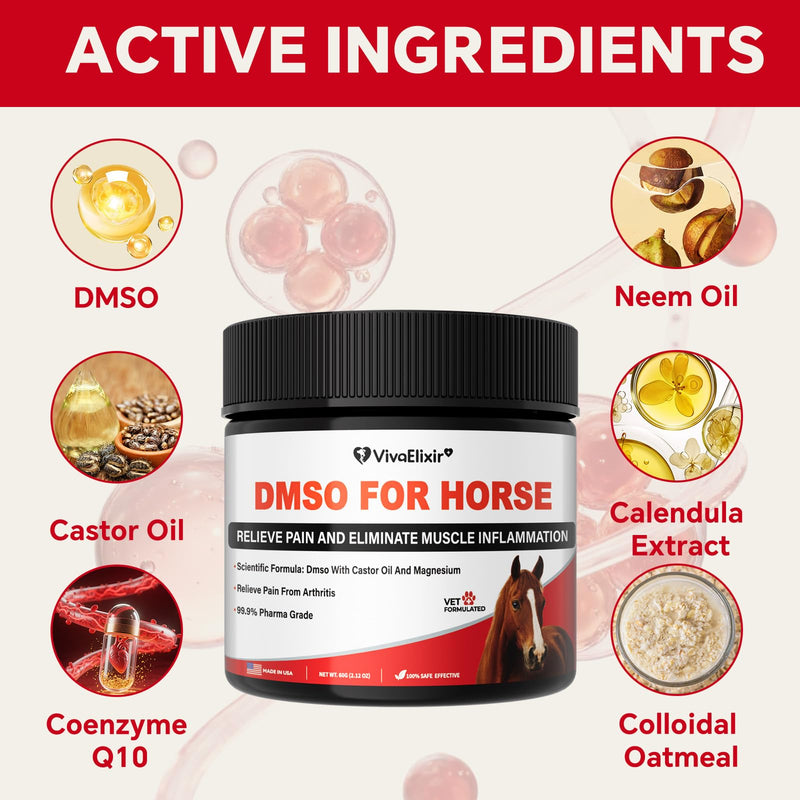 Liniment Gel DMSO for Horses | Veterinary Liniment Gel | Medical-Grade DMSO | Magnesium & Castor Oil Horse Cream for Joint & Muscle Pain | Horse Pain Relief | Muscle Pain Gel - 60g