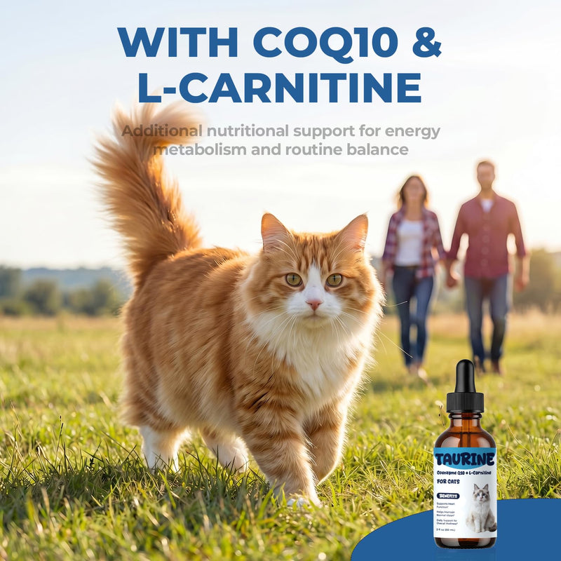 Taurine Supplement for Cats Liquid Drops, Cat Taurine with Coenzyme Q10 & L-Carnitine, Supports Heart Function, Vision & Daily Energy, Helps Maintain Consistent Taurine Intake (60 ml (Pack of 1)) 60 ml (Pack of 1)