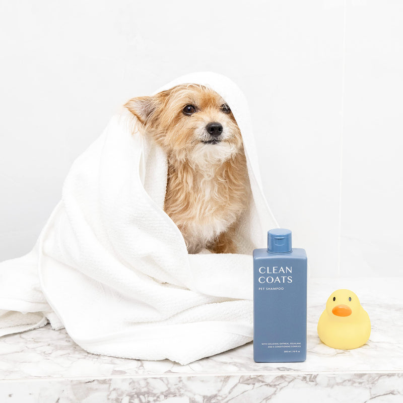 Fragrance Free Pet Shampoo for Dogs – Gentle Oatmeal & Aloe Leaf Formula for Sensitive Skin, Helps to Relieve Itchy & Dry Skin, Vegan Formula - PawsPlanet Australia