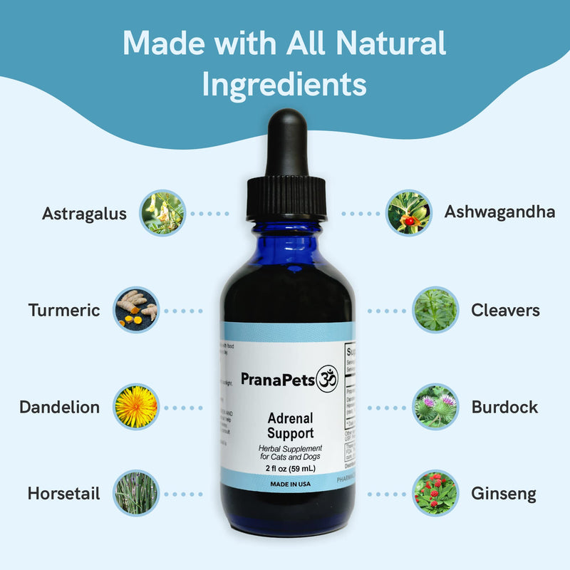 Prana Pets Adrenal Support Naturally Relieves Symptoms of Cushings Disease in Dogs | Licorice Free Herbal Formula Safely Promotes Healthy Adrenal Function and Overall Wellbeing 1 Pack - PawsPlanet Australia