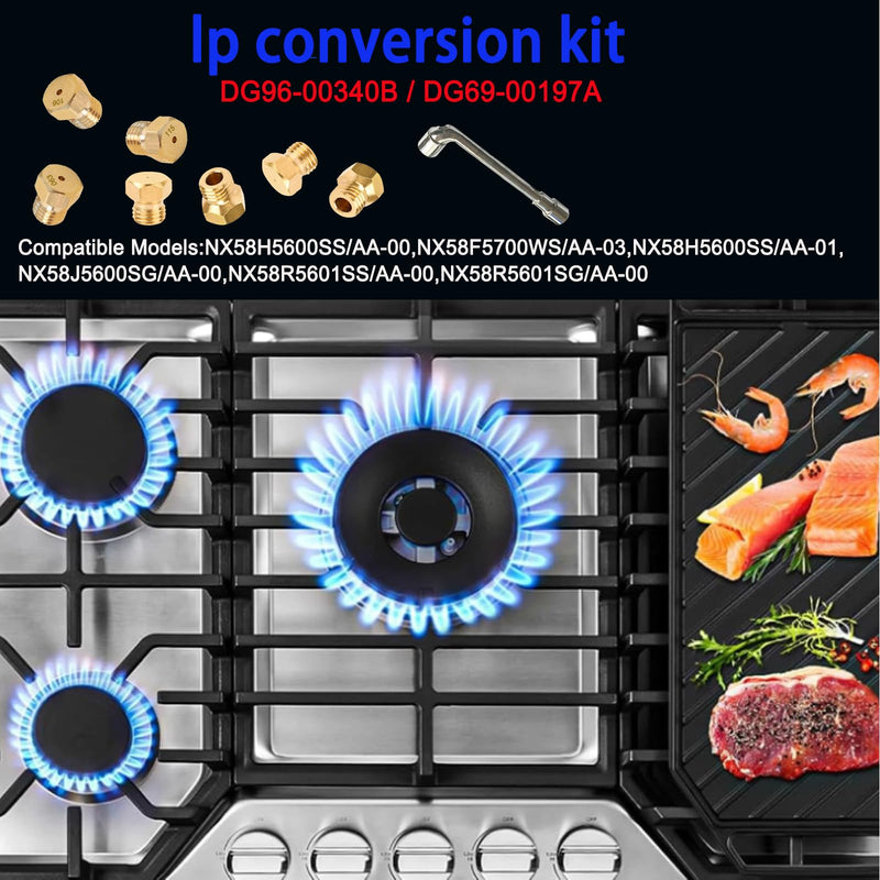 DG96-00340B / DG69-00197A lp conversion kit, Gas Stove Repair and Replacement Part