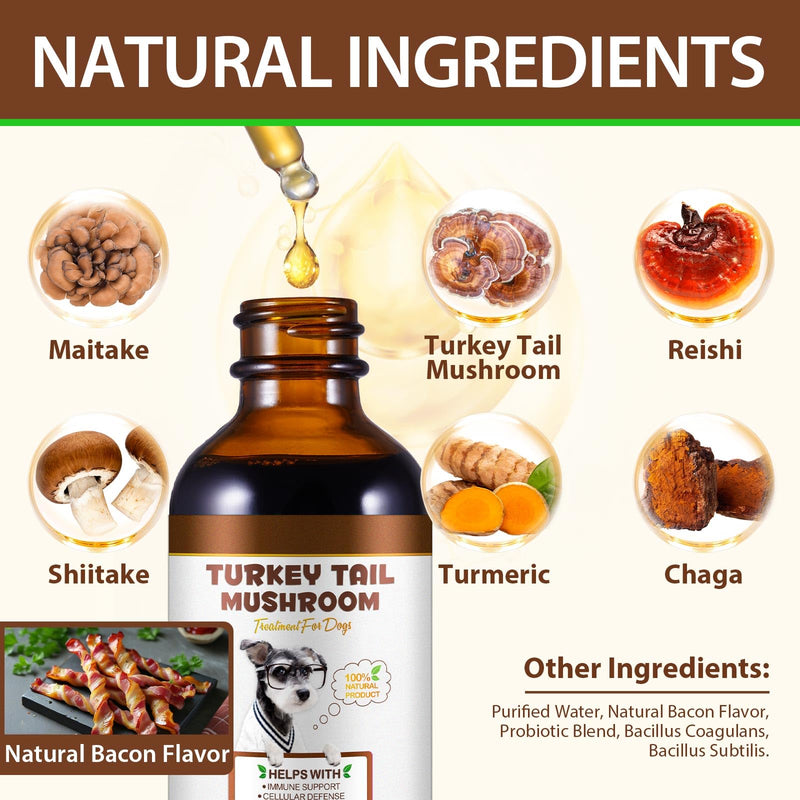 Turkey Tail Mushroom for Dogs, Dog Mushroom Supplement, Mushroom Drops for Dogs, Support Immune Health, Digestive & Joint Mobility, Wild Mushroom Supplement for Dog, Easy to Absorbed 2 fl oz