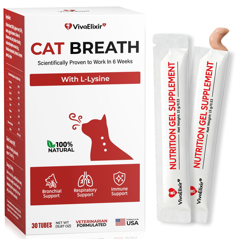 Lysine for Cats, Helps Reduce Sneezing, Coughing, Runny Nose & Upper Respiratory Treatment – Taurine + Echinacea Immune Support – Cat Cold, Asthma & Nose Relief – Respiratory Support Bars
