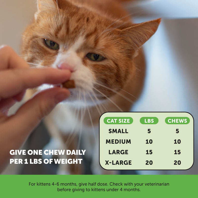 Cat Digestive & Hairball Support Virtual Bundle – Probiotics Gut + Immune Chews + Hairball Support Chews, 30 Day Supply Each