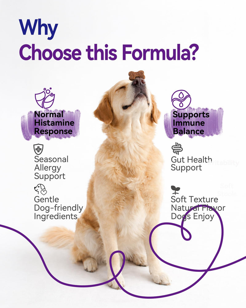 Dog Allergy Relief Chews – Seasonal Allergy Support for Dogs with Environmental Sensitivities, Immune & Gut Health Soft Chews for Allergy-Prone Dogs CK