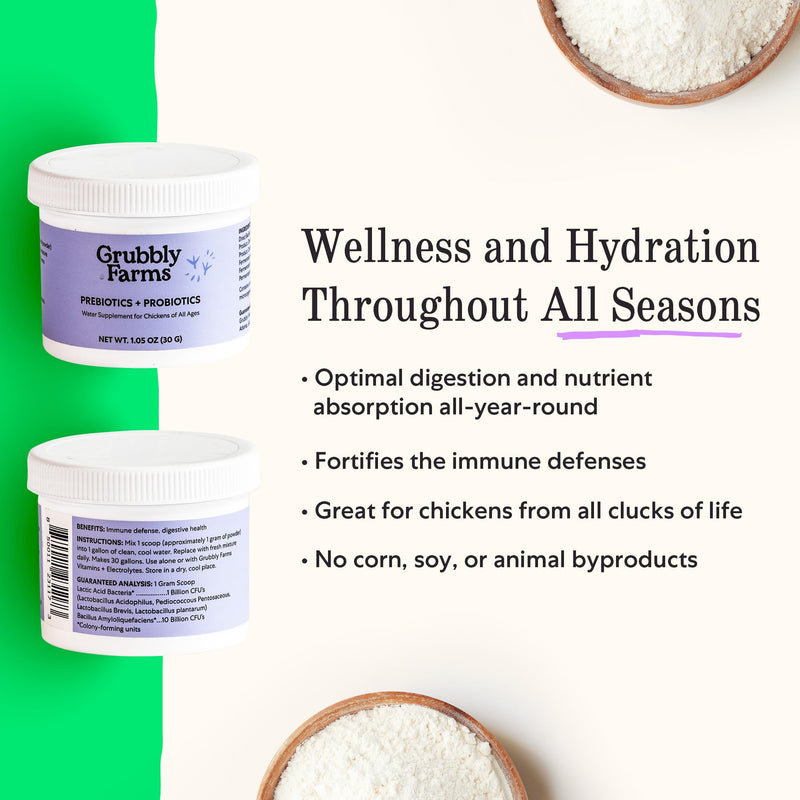 Grubbly Farms Prebiotics + Probiotics for Chickens (30 Day) 30 Day
