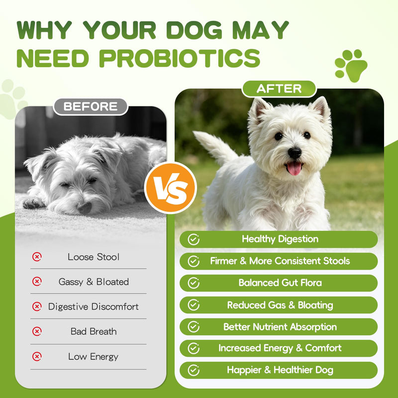 Probiotics for Dogs - 150 Soft Chew, Dog Probiotics for Digestive Health and Diarrhea, Allergies & Immune Support Dog Probiotic Supplement, Daily Probiotics for All Dogs, Natural Duck Flavor 150ct