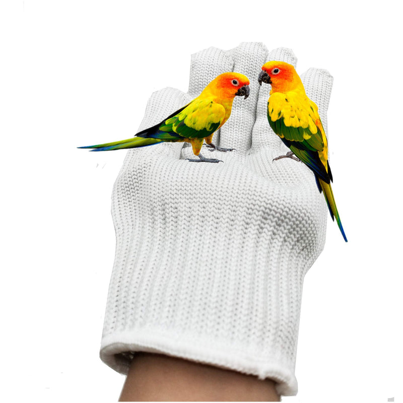 alfyng Bird Training Anti-Bite Parrot Chewing Protective Gloves, Small Animal Handling Gloves for Parrotlets Cockatiels Finch Macaw (1 Pair White)