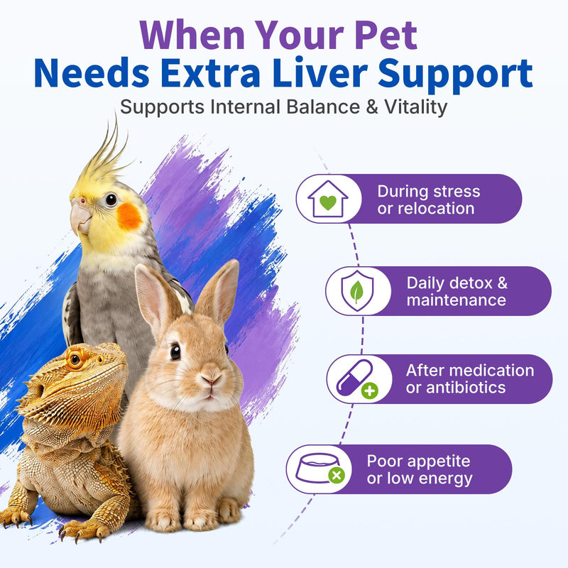 Milk Thistle for Birds, Tortoises & Rabbits – Natural Liver Support Supplement, Supports Detox & Healthy Liver Function