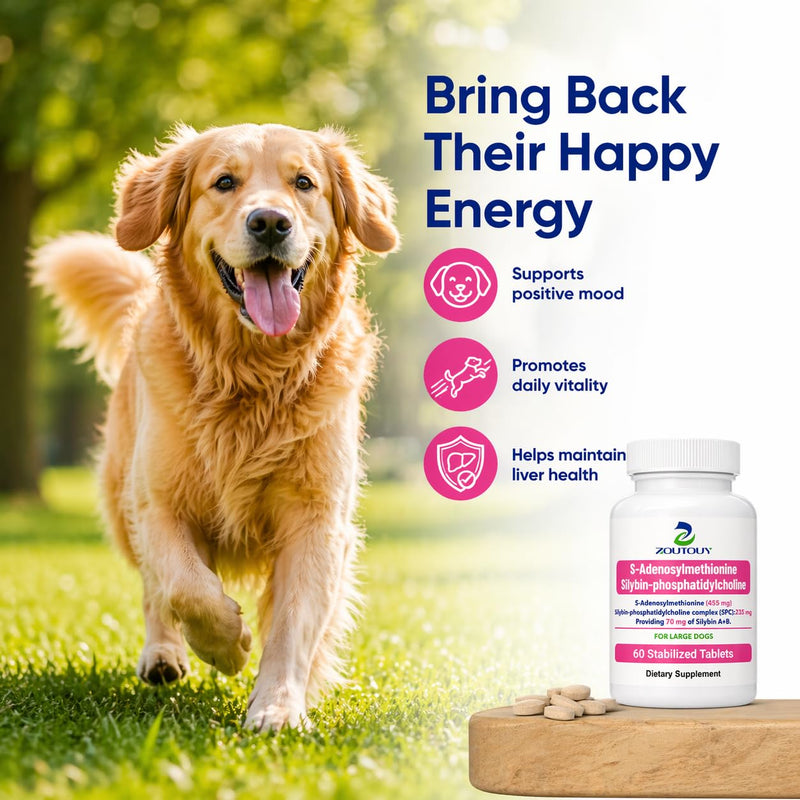 Same and Silybin for Dogs - S-Adenosyl-L-Methionine, Same for Dog, Hepatic Supplement for Liver & Brain, Dog Liver Support (Same+Silybin), 60 Tablets for Large Dogs(35 lbs+