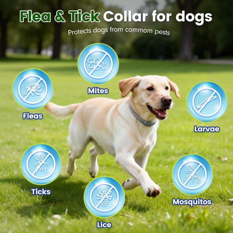 KOOSA Flea and Tick Collar for Dogs, 3 Packs Flea Collar for Dogs with Natural Essential Oils, Waterproof & Adjustable Flea and Tick Prevention Collar for Small Medium Large Dogs & Puppies, Grey 07