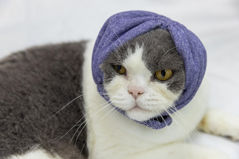 Cat Hematoma Ear Wrap,Noise Cancelling Calming Anxiety & Stress Relief - Ear Cover for cat Purple S Small
