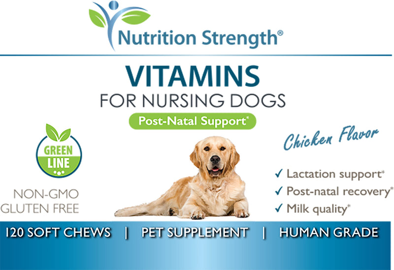 Vitamins for Nursing Dogs to Support Lactation and Post-Natal Recovery, Promote Milk Quality and Healthy Puppies with Calcium, Phosphorus, Magnesium and Zinc, 120 Soft Chews - PawsPlanet Australia